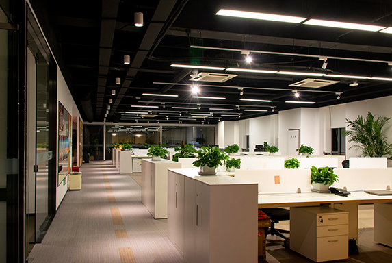 上海午夜AV免费观看